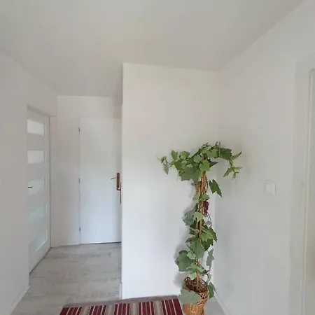 Feriehus Privat Pod Uhliskom Dubrava